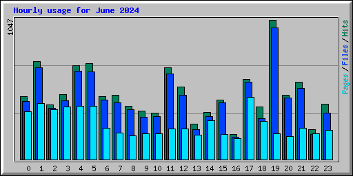 Hourly usage for June 2024