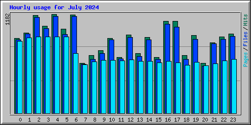 Hourly usage for July 2024