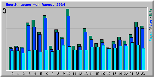 Hourly usage for August 2024