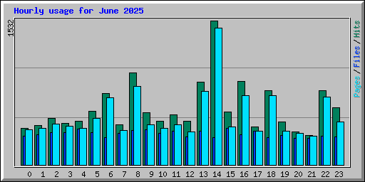 Hourly usage for June 2025