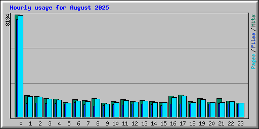 Hourly usage for August 2025