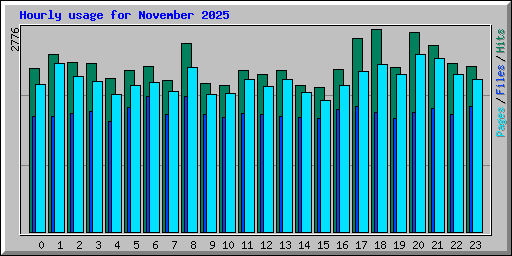 Hourly usage for November 2025