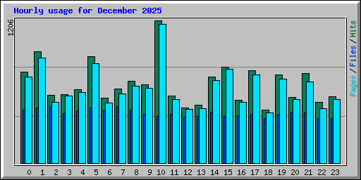 Hourly usage for December 2025