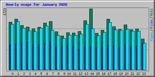 Hourly usage for January 2026