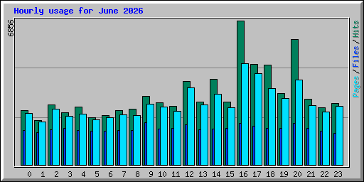 Hourly usage for June 2026