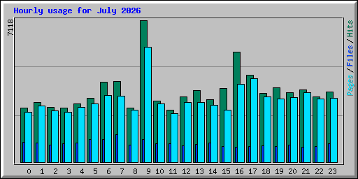 Hourly usage for July 2026