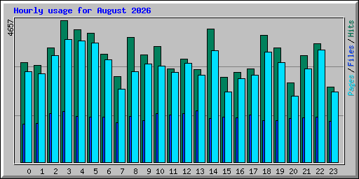 Hourly usage for August 2026