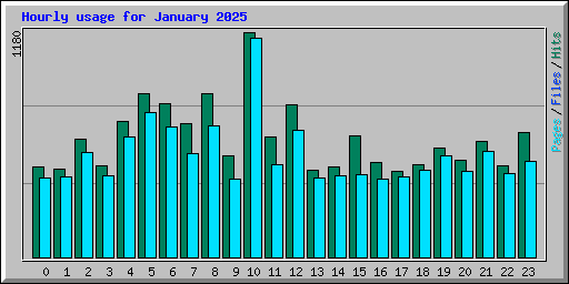 Hourly usage for January 2025
