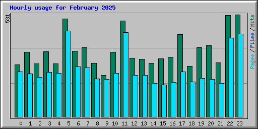 Hourly usage for February 2025