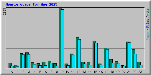Hourly usage for May 2025