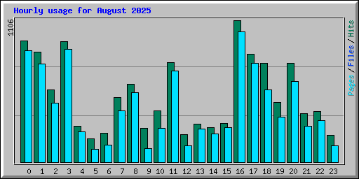 Hourly usage for August 2025