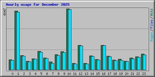 Hourly usage for December 2025
