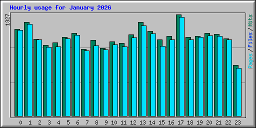 Hourly usage for January 2026